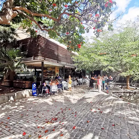 Home2book Chic & Bright Residencial Anaga Apartament