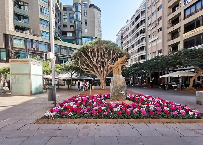 Home2book Chic & Bright Residencial Anaga Apartment