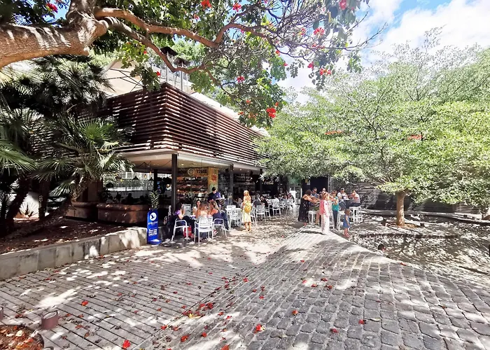 Home2book Chic & Bright Residencial Anaga Apartment