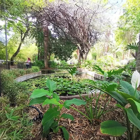 Home2book Chic & Bright Residencial Anaga * Santa Cruz de Tenerife