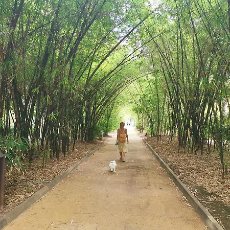 Appartamento Home2book Chic & Bright Residencial Anaga Santa Cruz de Tenerife