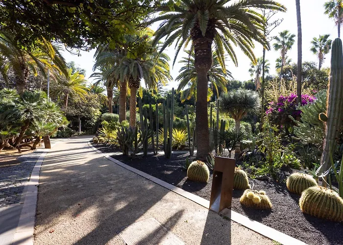 Home2book Chic & Bright Residencial Anaga