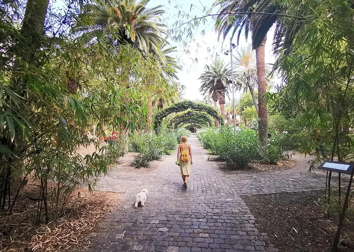 Home2book Chic & Bright Residencial Anaga Appartamento Santa Cruz de Tenerife