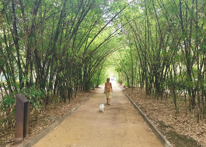 Апартаменты Home2book Chic & Bright Residencial Anaga Санта-Крус-де-Тенерифе